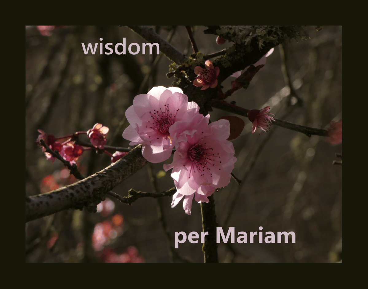 Young And Pell Benedictus – Well&nbsp;Spoken